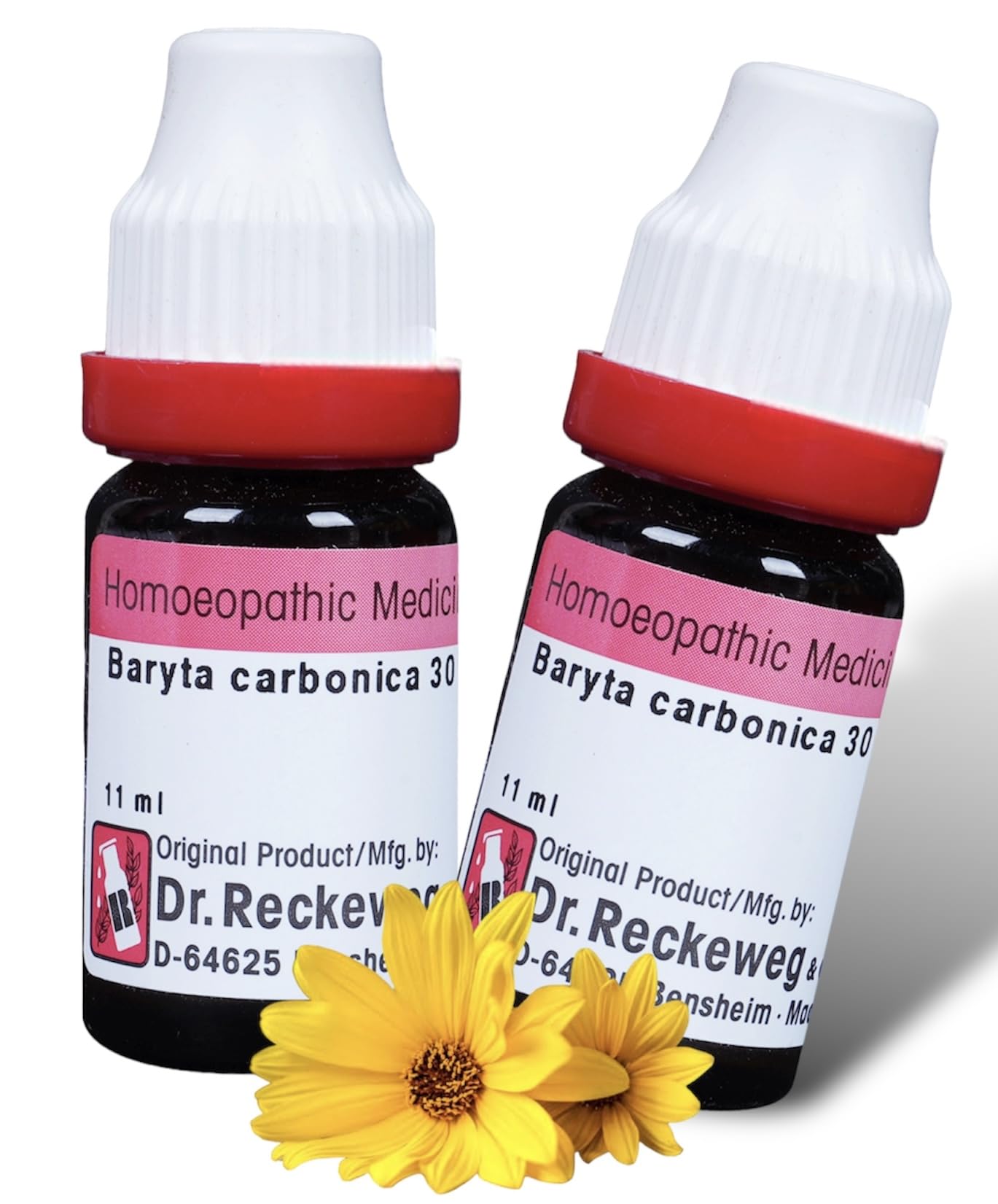 Dr. Reckeweg Baryta Carb 30 CH 11 ml - Dilution