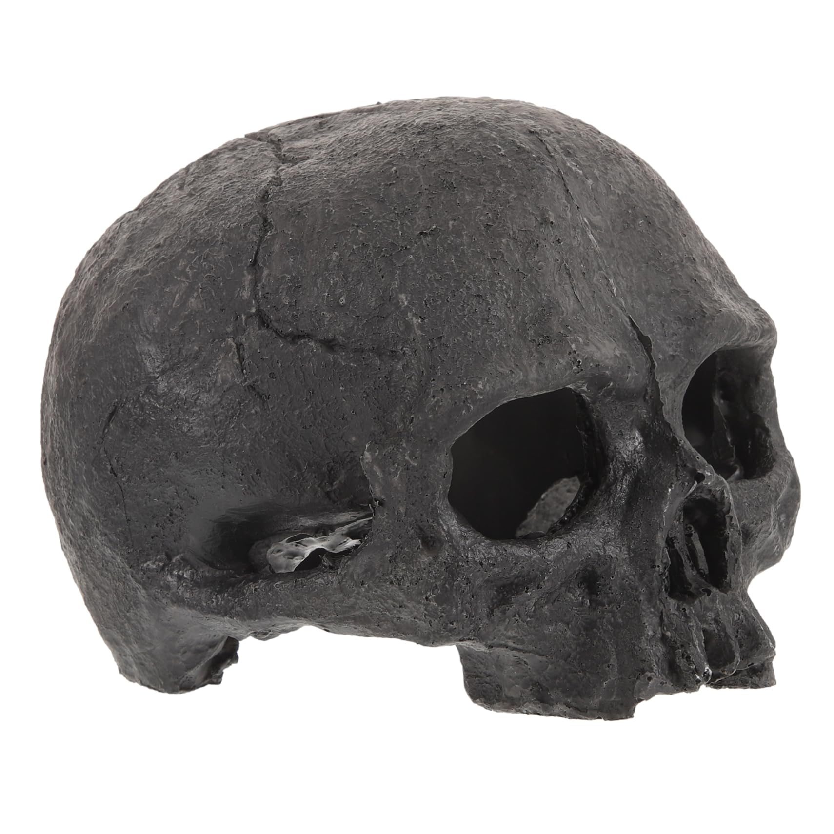 OUNONA Lot De 4 Têtes De Mort Décoratives pour Aquarium Tête De Mort Sirène Lézard Poissons Tropicaux Accessoires pour Aquarium Faux Reptiles Squelette en Résine Noire
