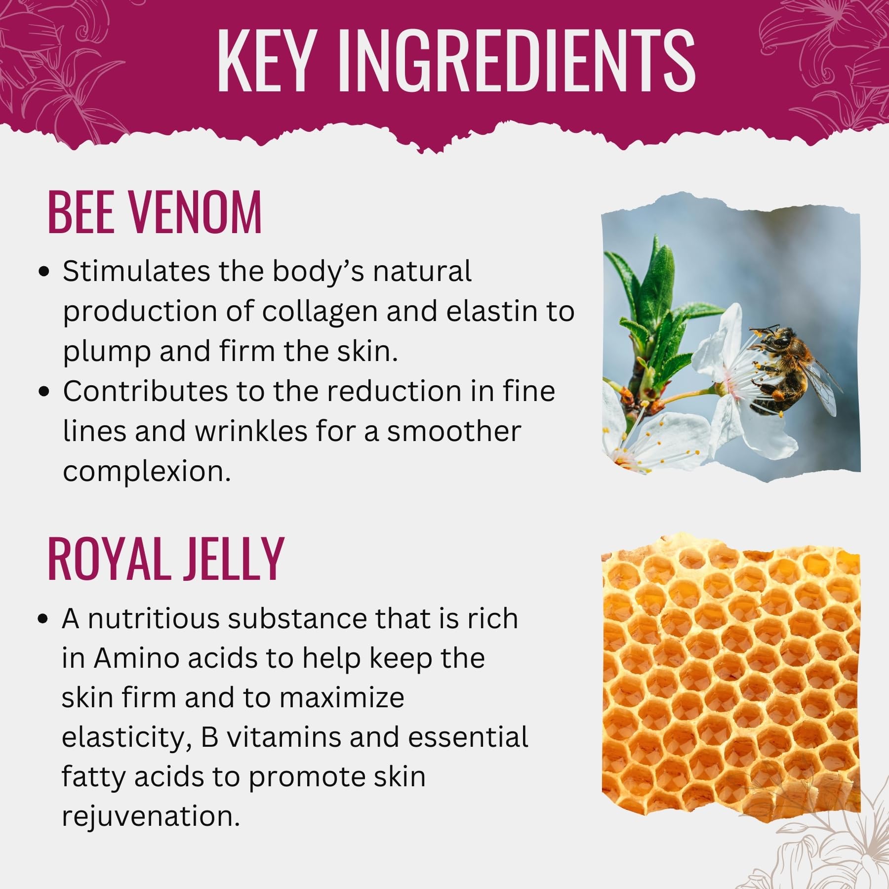 Amazon.com: Manuka Lane Bee Venom Night Cream for Face and Neck