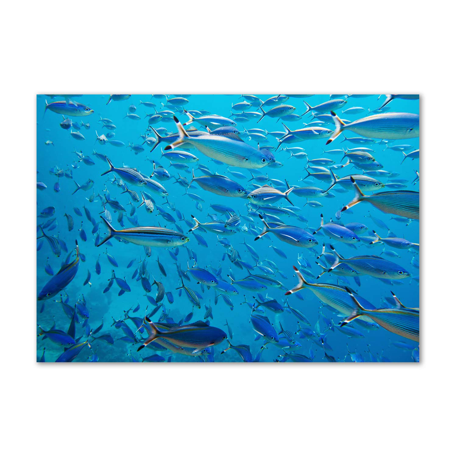 Verre acrylique haut de gamme motif animaux marins pour décoration intérieure chic