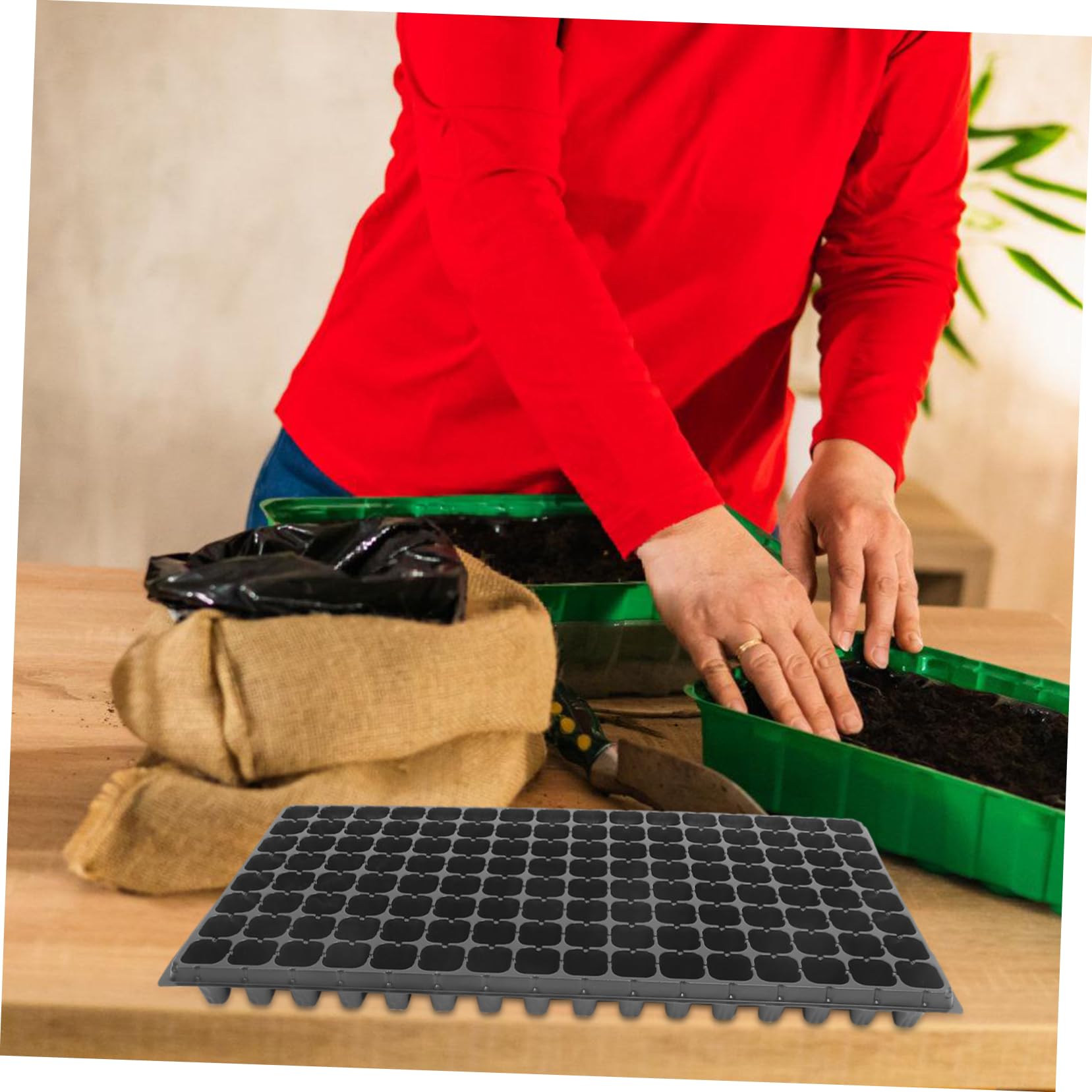 Gatuida Vassoio Germinazione PVC 128 Fori 10 Pezzi Nero Vacanze Estive | Pianta da Semina, Uso Professionale e Fai da Te Casa, 80g, Design a Celle per Radici Ordinate