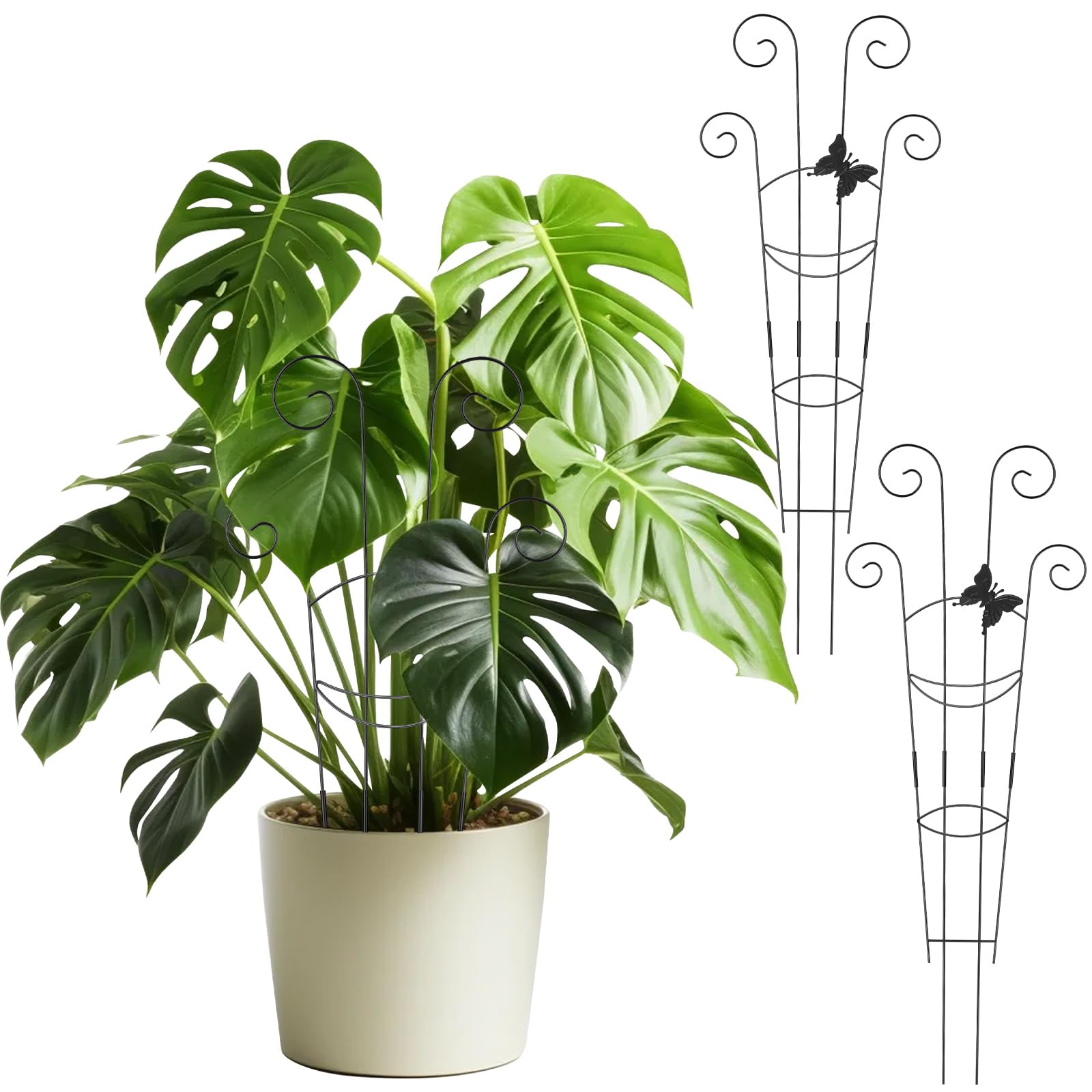 2Pack Plant Trellis,Metal Taller Trellis for Climbing Plants Indoor 76CM Pot Trelli Garden Support Stand,Rustproof Plant Support Trelli for Monstera Ivy Hoya Pothos Vine Flower (76cm-Butterfly Style)