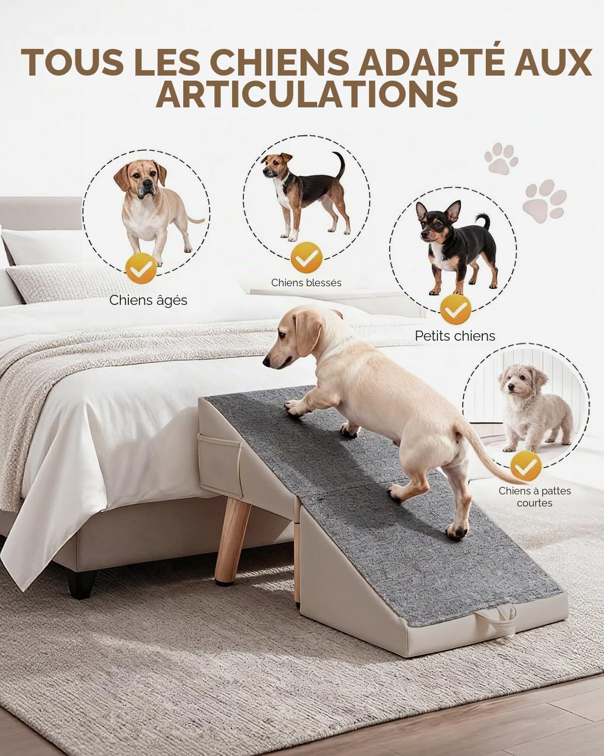 40 cm Rampe pour Chien pour Canapé et Lit 2 en 1, Inclinaison Douce 23° | Escalier pour Animal de Compagnie, pour Petits et Moyens Chiens et Chats, Rampe Antidérapante pour Chien Senior ou Blessé