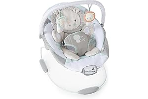 Fisher-Price Sweet Snugapuppy Deluxe Bouncer