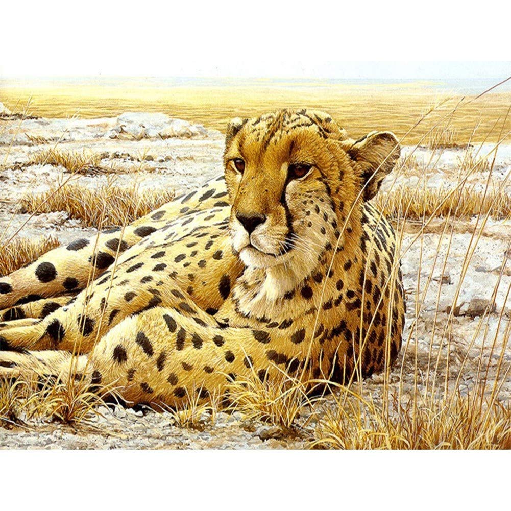 Peinture Diamant Strass Ronds Léopard 5D Broderie Toile Géante 80x100cm