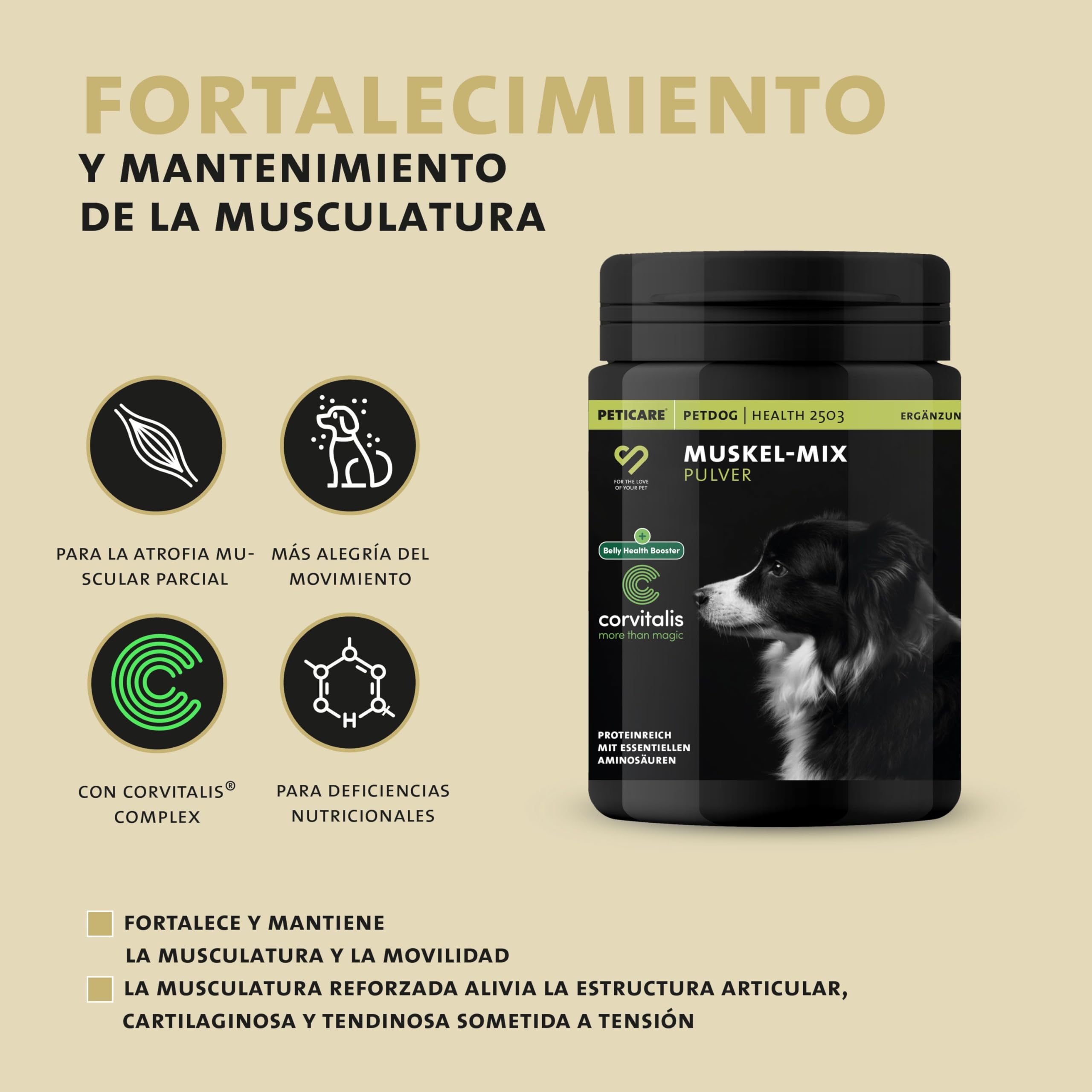 Peticare Polvo para músculos y actividades para perros – Soporte natural para la musculatura – con colágeno y BCAA – Suplemento vitalidad