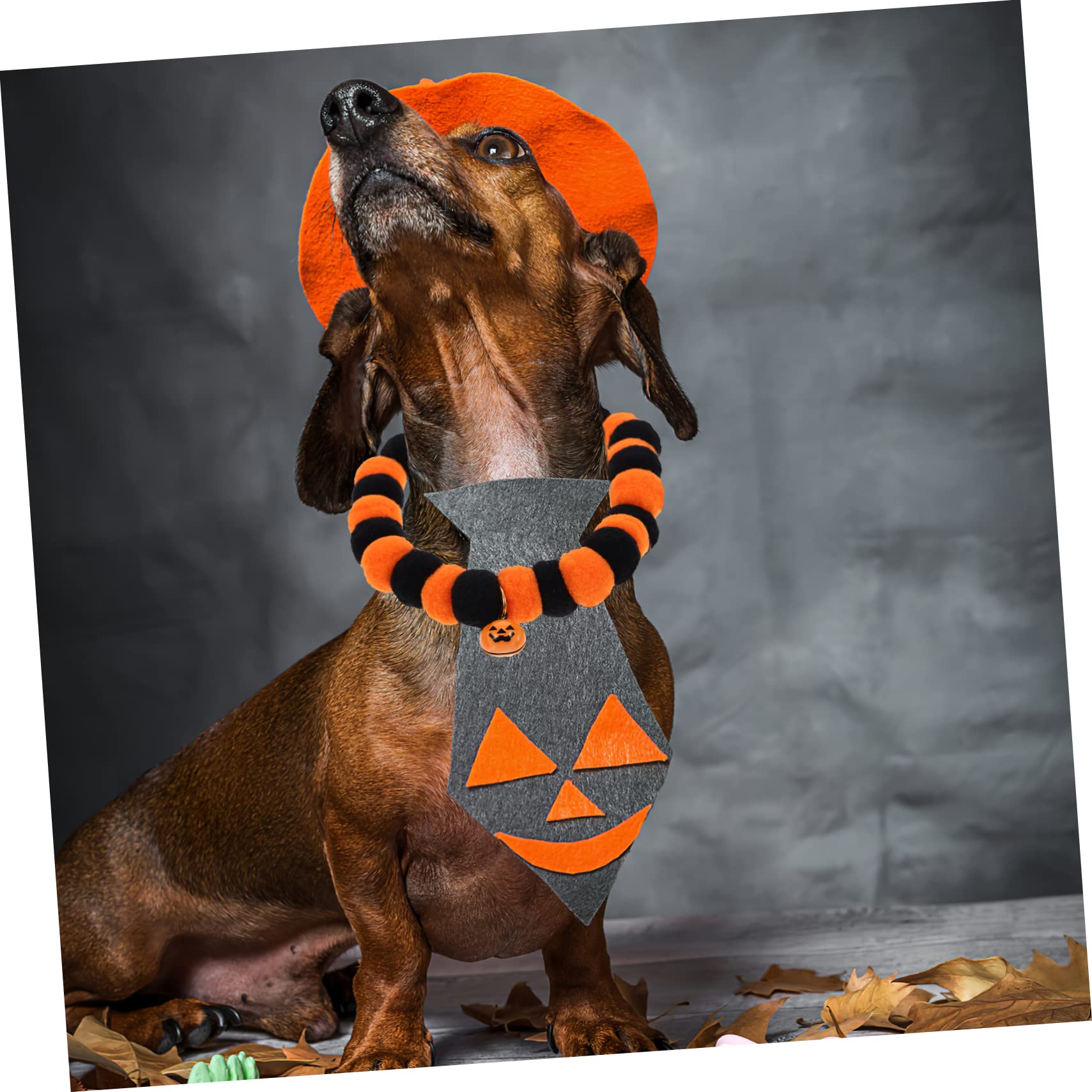POPETPOP 10 Stück Halloween- Dehnbare Halsketten Perlenketten Perlenbesatz Kätzchenhalsbänder Welpenhalsbänder Abtrünnige Katzenhalsbänder Katzenhalsbänder Mit