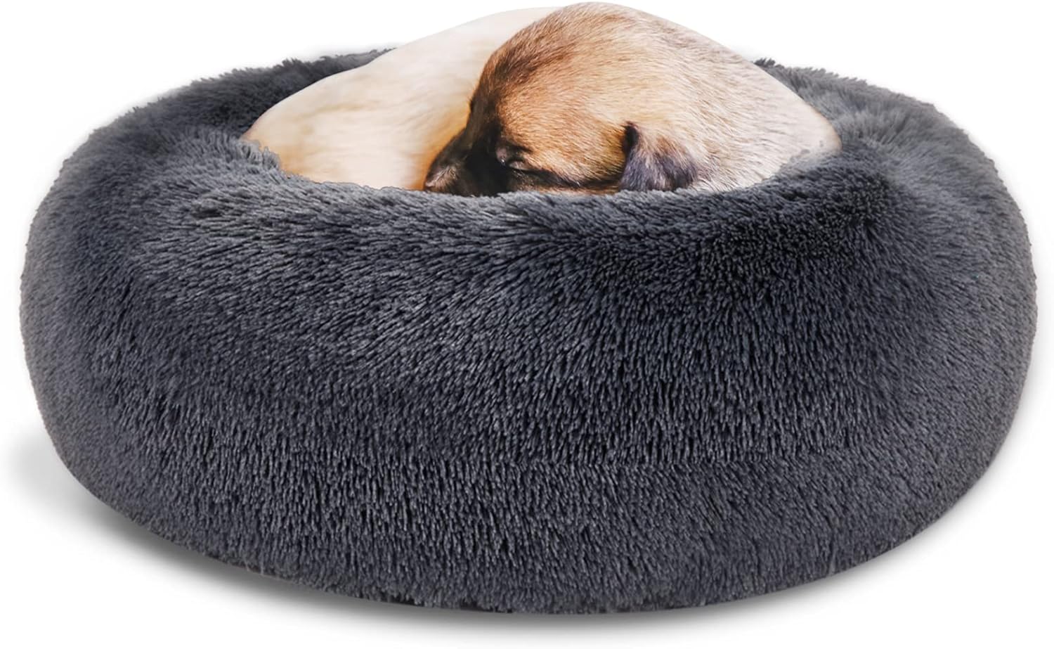dog calming bed canada