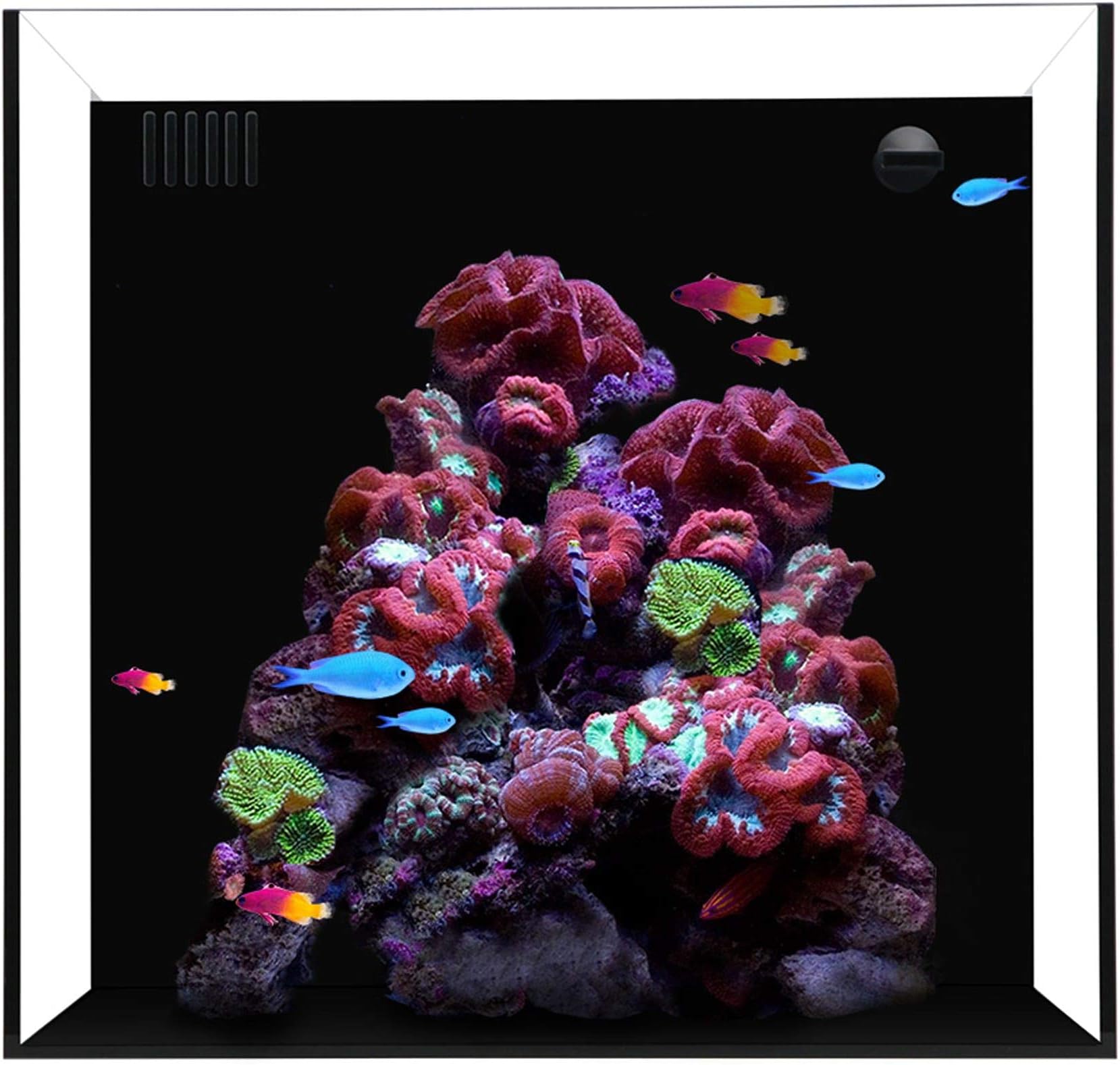 Waterbox Cube 10 Gallon Aquarium, 13.8" L X 14.2" W X 13.8" H, Transparent / Black