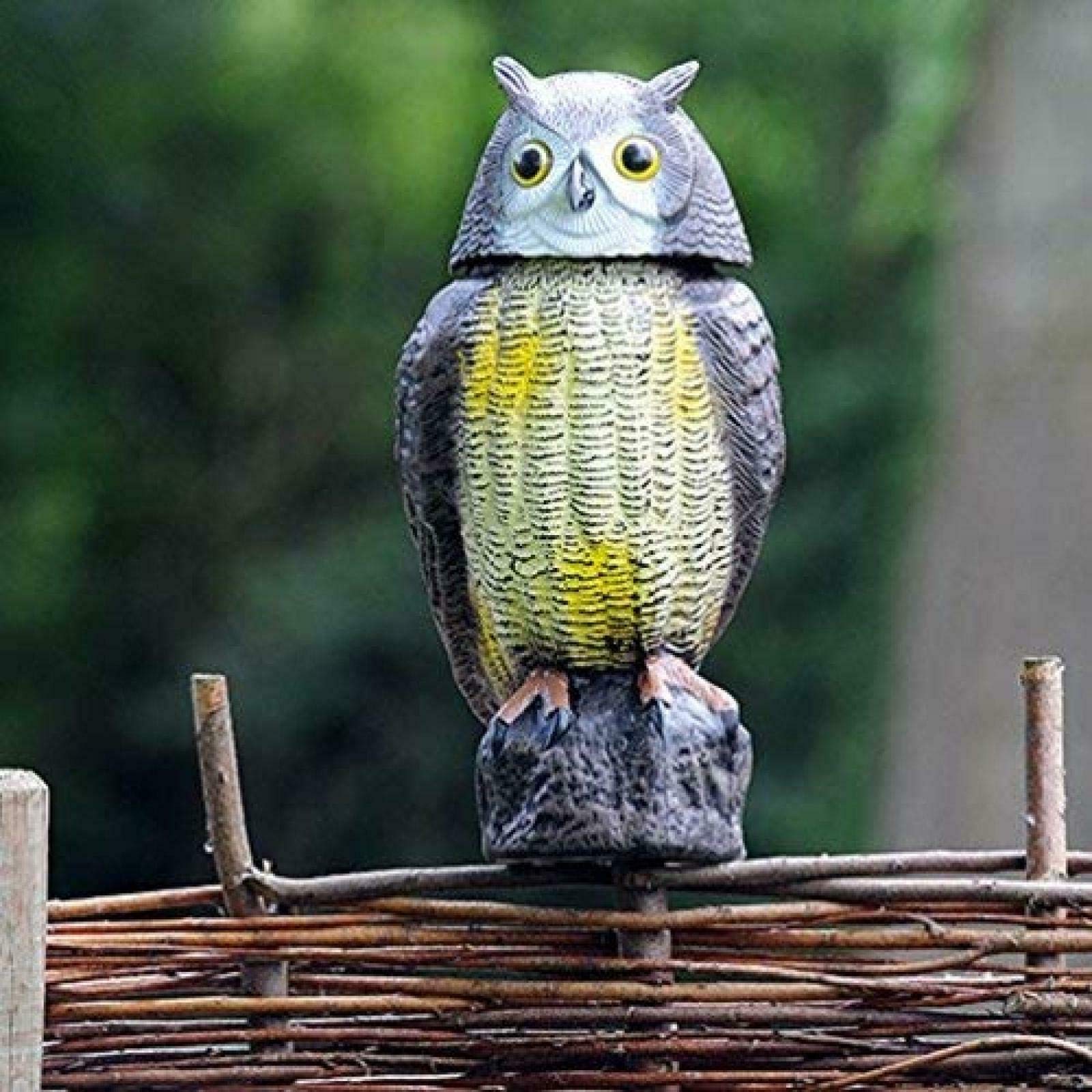 ausuky Rotating Head Owl Defenders Wind Action Deterrent Garden Bird Scare Pest