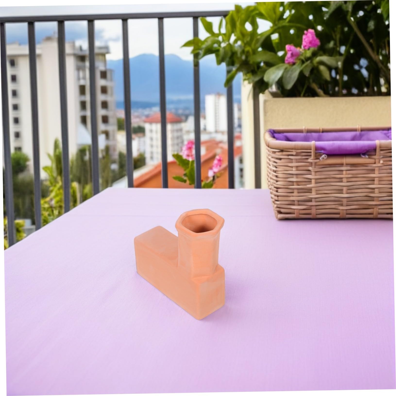 Picchetto Autoirrigante Terracotta per Piante, 1 Coppia