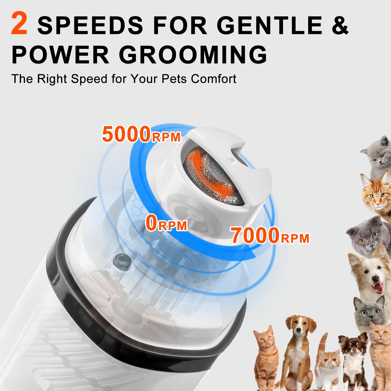 Dog Nail Grinder Quiet Electric with LED Light 2 Speed Professional Pet Nail Grinder for Dogs and Cats Safe Paw Grooming Tool for Small Medium Large Dogs - image 2