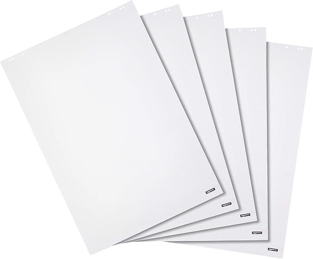 Amazon Basics Flipchart Paper, Squared, 20 Sheets, 680 x 980 mm, (5-Pack)