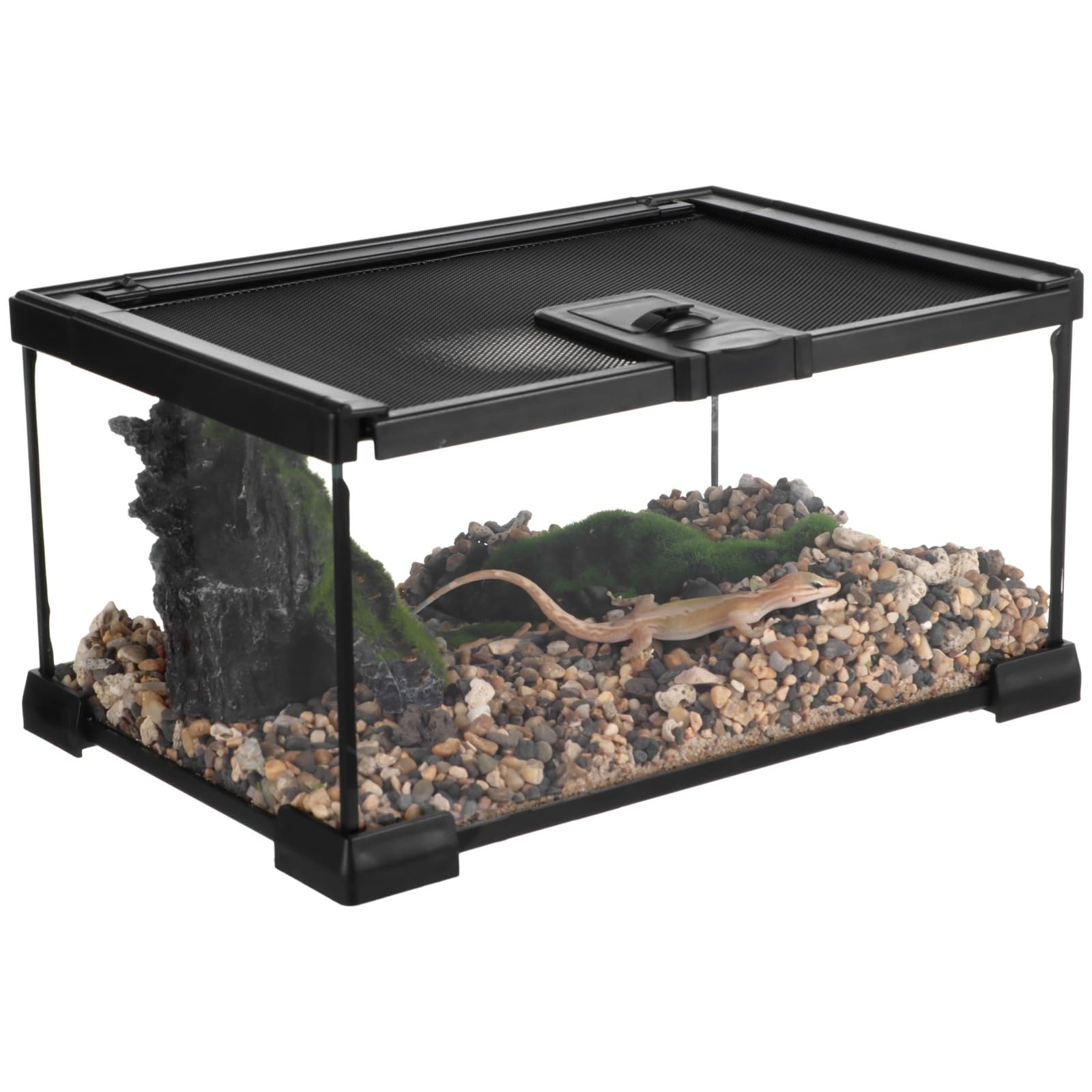 Mini-Reptilien-Glas-Terrarium, 30,5 x 20,3 x 15,2 cm, Vollsicht-Regenwald-Vivarium, stapelbarer Amphibiengehege, Käfig für Schildkröten, Geckos, Frösche, Einsiedlerkrebse, keine Installation