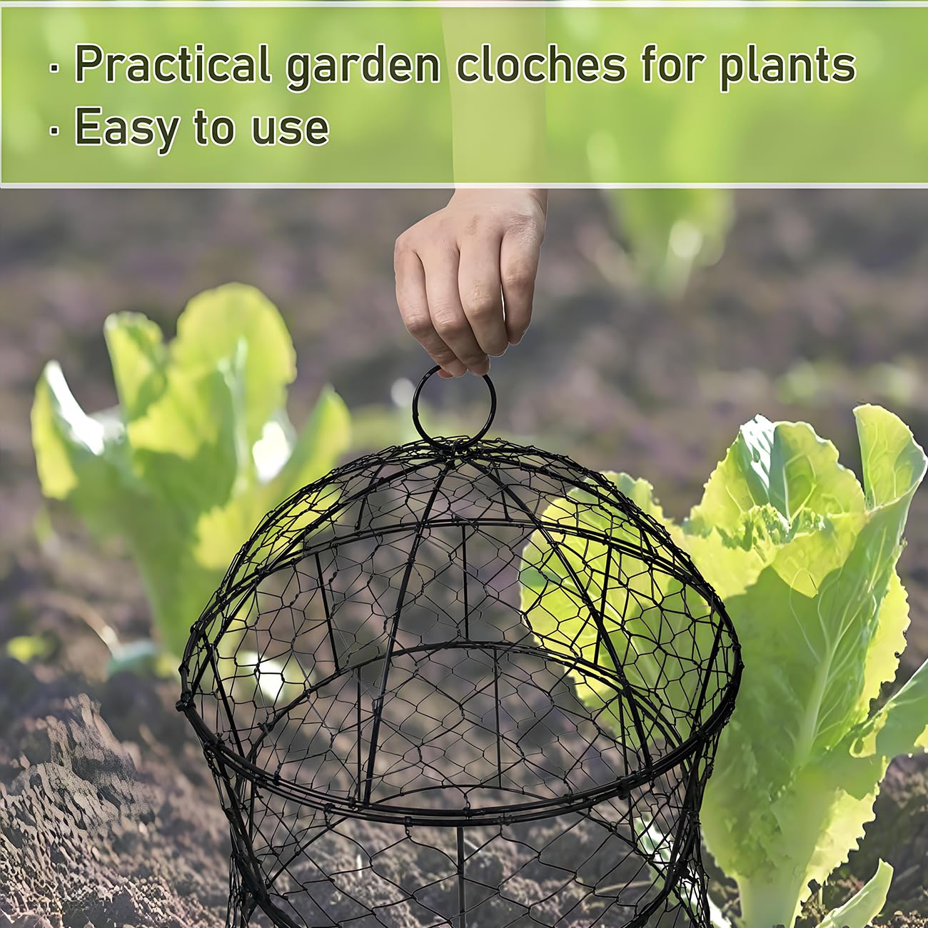 Lot de 2 cloches de jardin en métal pour plantes contre les animaux, cloches en fil de poulet, cages à plantes mises à jour pour plantes d'extérieur, légumes, semis, 33 x 35,6 cm