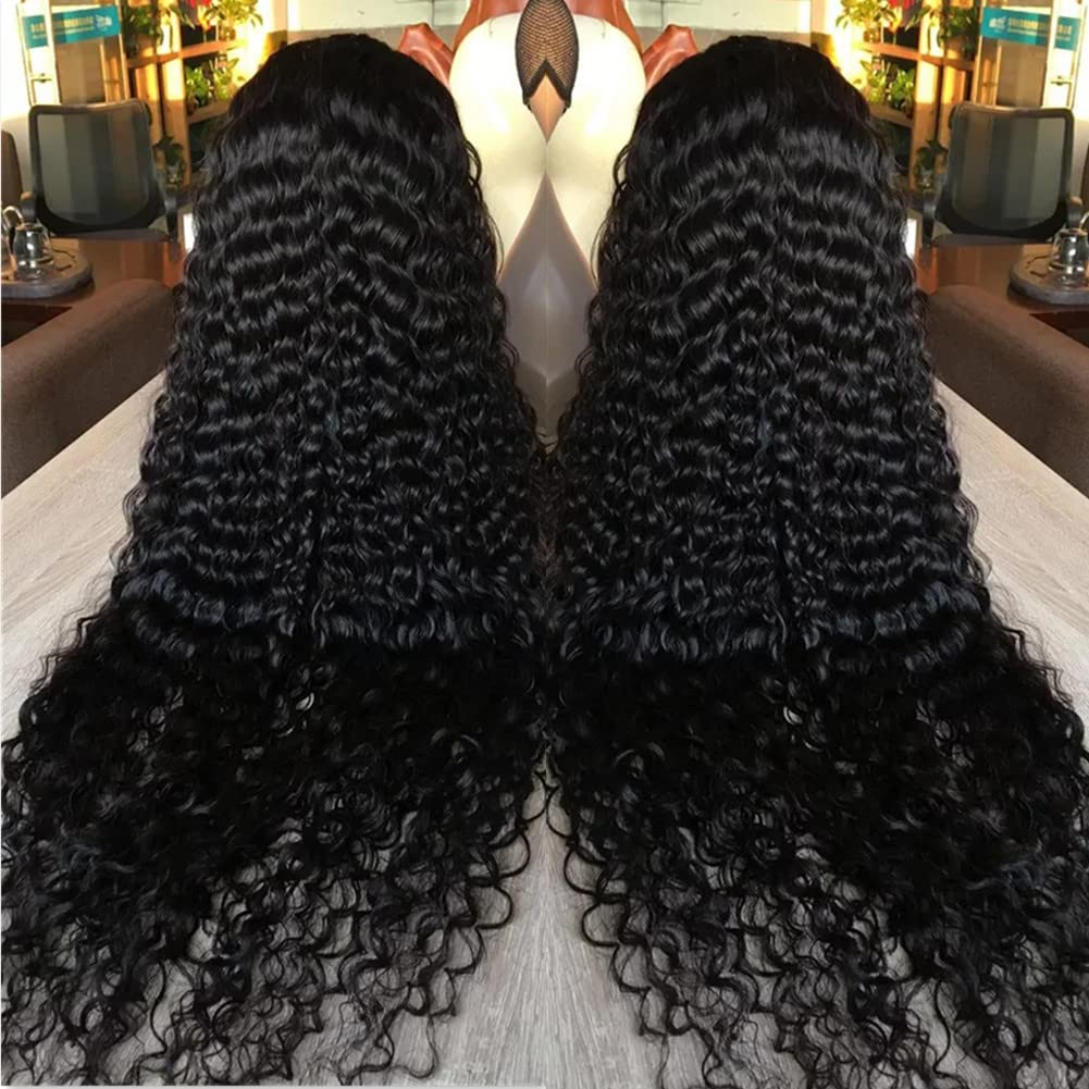 360 Lace Front Wigs Human hair Water Wave Lace Front Wigs for Black Women 360 Full Lace Human Hair Wigs Pre Plucked (14 Inch, 360 Lace Front Wigs Human Hair)