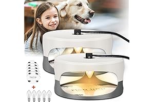 Electric Flea Traps for Inside Your Home: Eliminate Flea Infestations with Premium Indoor Traps