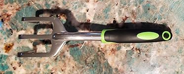 Review Image by Pachi Pachi