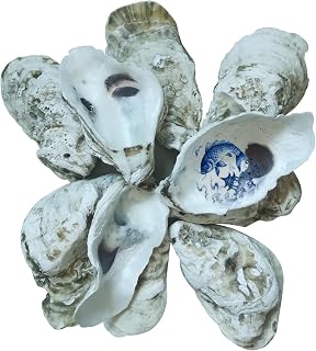 Natural Concave Oyster Shells for Crafts 3"-4" Large Oyster Shells Bulk for Home Vase Shell Painting, Beach Wedding & Christmas Decor, Vase Filler, DIY Home Decor, Craft Shells of 20pcs
