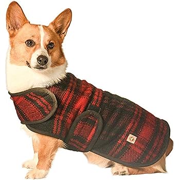 chilly dog jackets