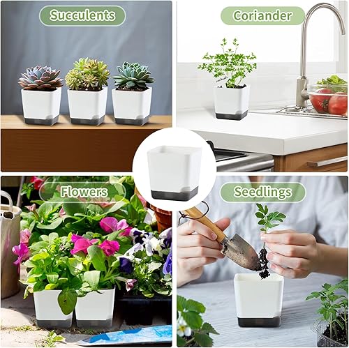Miniatura 6 de Macetas pequeñas de 3 pulgadas, macetas de plántulas, paquete de 20 macetas de plástico para plantas de interior y exterior, macetas decorativas