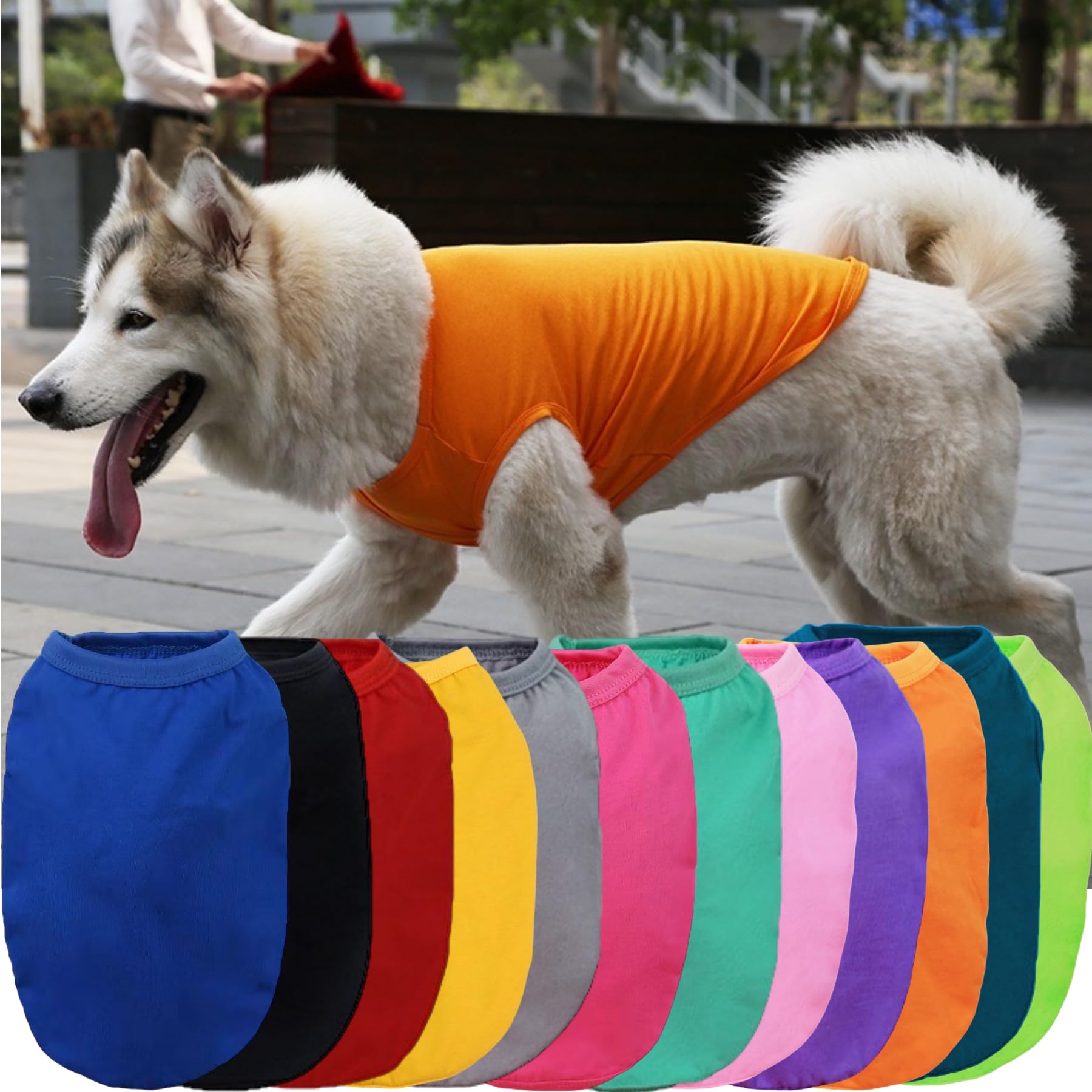 犬服 M わんこの普段着青い目のくまちゃん水色