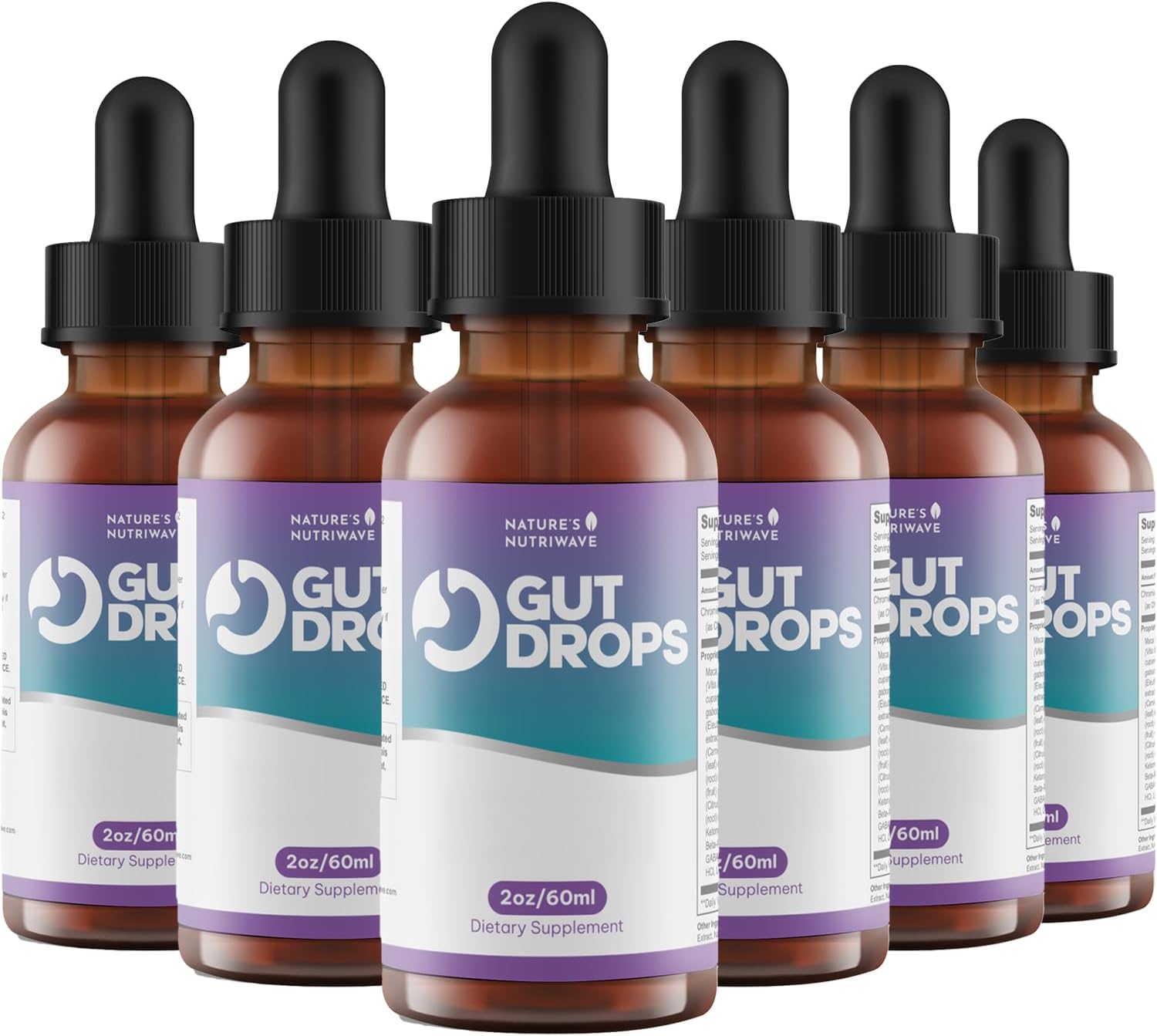 GutDrops – Plant-Based Liquid Formula with Natural Ingredients – Non-GMO, GMP Certified, Made in USA – 2oz (60ml), 6 Month Supply