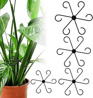 Reusable Plant Stem Supports for Indoor Plants - 4 Sizes, Durable Plastic Holders Easy Clip Hooks Growth Accessories for Climbing Plants Like Monstera Pothos and Vines