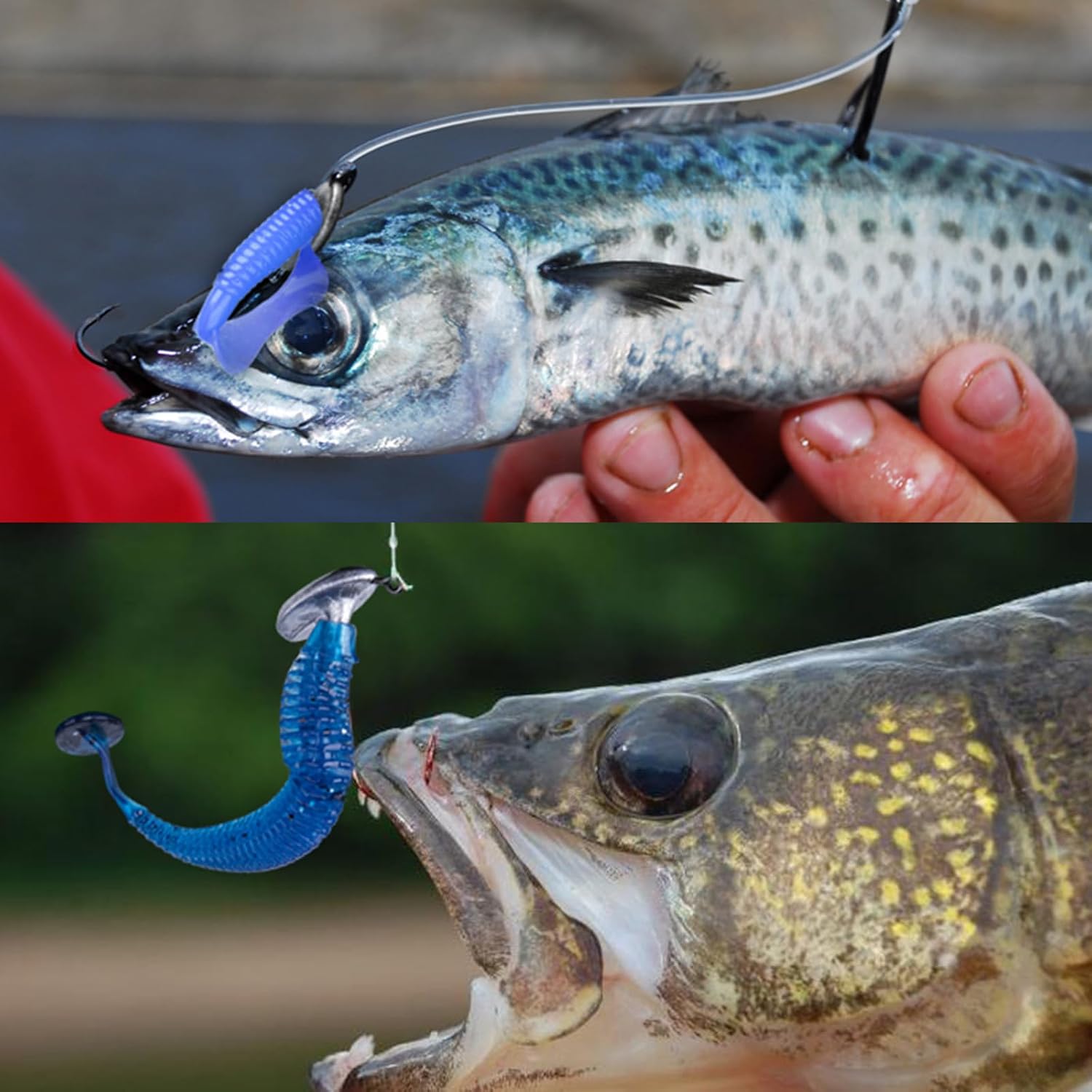 Goture Stand Up Fishing Jig Head Hooks Set Kit with Fishing Tackle Box Tumbler Fish Head Hooks for Saltwater Freshwater Fishing