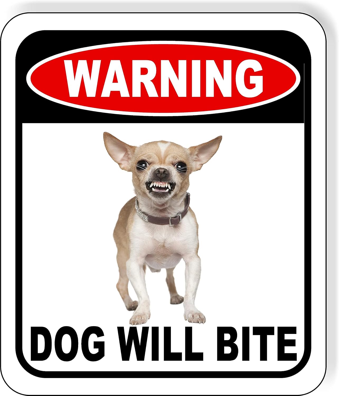 Warning Vicious dog will bite Angry Chihuahua growling Aluminum Composite Outdoor Sign 15" x 18"