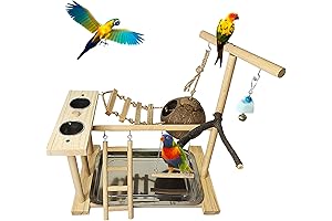 Bird Jungle Gym: Ultimate Playground for Feathered Friends