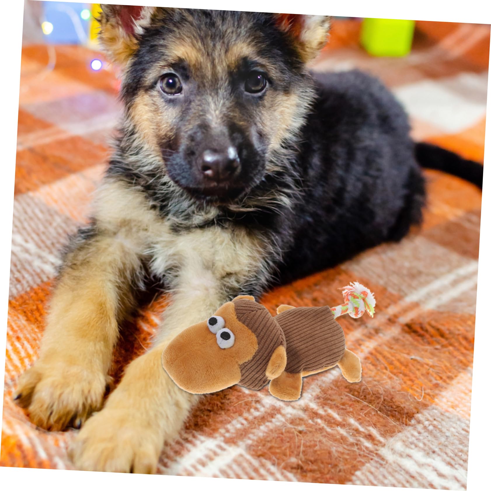 BESPORTBLE Jouet pour Chien Peluche à Mordre avec Jouet Interactif pour Chiots Et Chiens Activité Et Détente Noël
