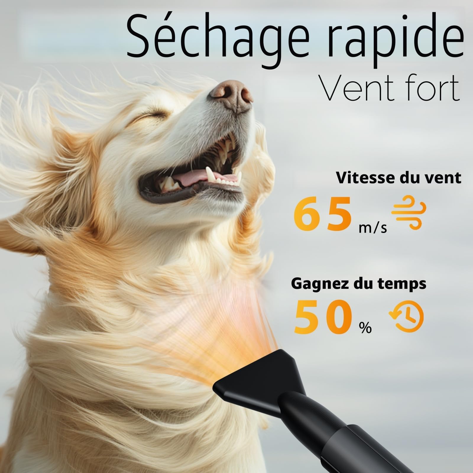 Pulseur pour Chien Blower Professionnel Souffleur Chien Silencieux 3000W réglable - Souffleur de Soins avec 4 Buses différentes et Tuyau élastique,Bleu ciel