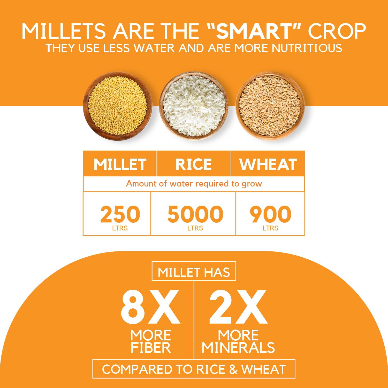 Incept Foxtail Millet, 1 lb Millet Grain & Gluten Free Millet Seed, Superfood of the Decade
