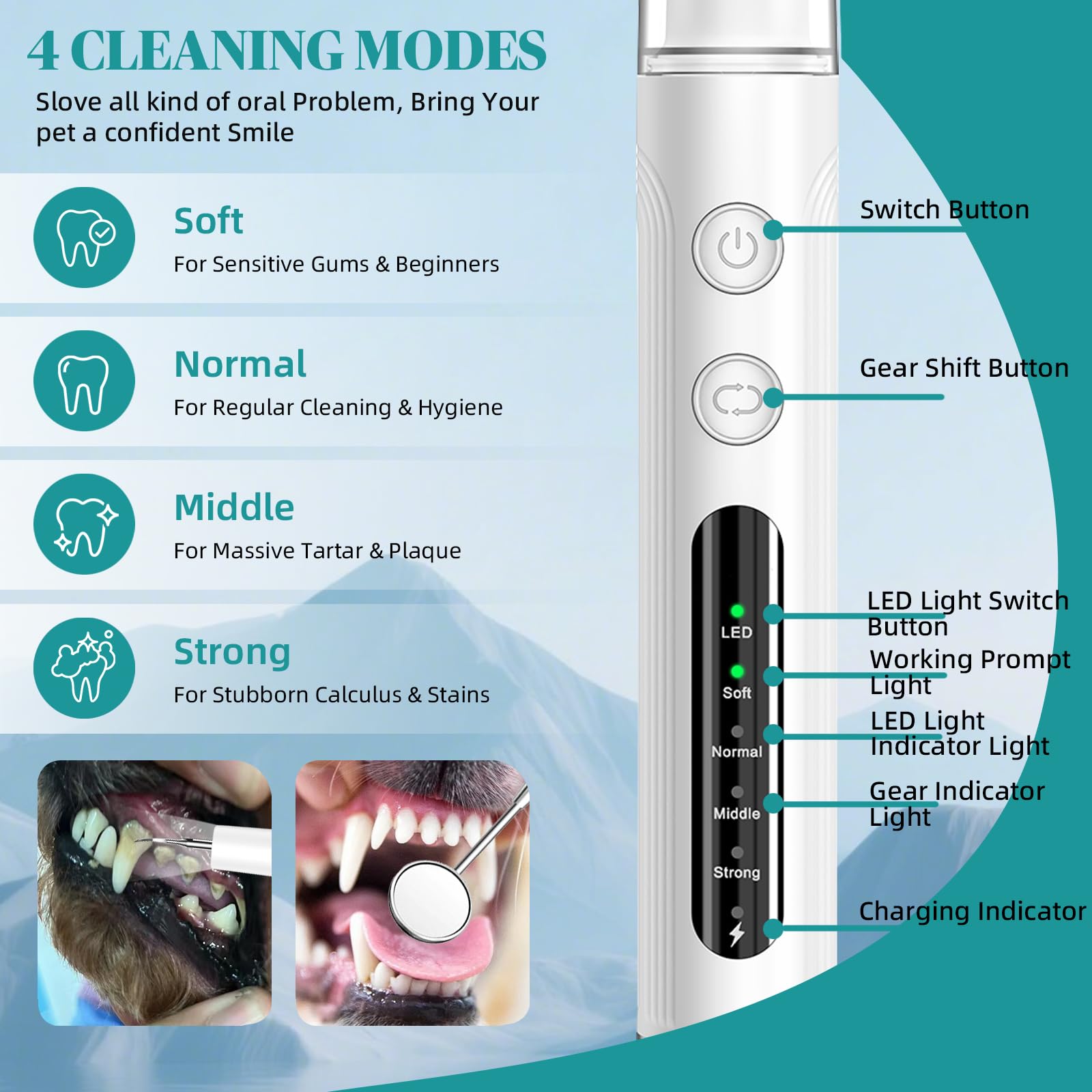 Plaque Remover for Teeth, Pet Tooth Cleaner - Image 2