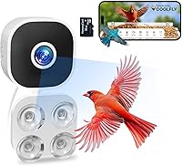 Vista 1 de Cámara de pájaro con ventana de enfoque cerrado, 2K 3MP con cable, cámara de pájaro con ventosa de cristal, identificación de pájaros, tarjeta