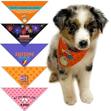 5 pc Fun Dog Bandana - Small - from Funny to Adorable Dog Scarf Accessories - Great Dog Gift