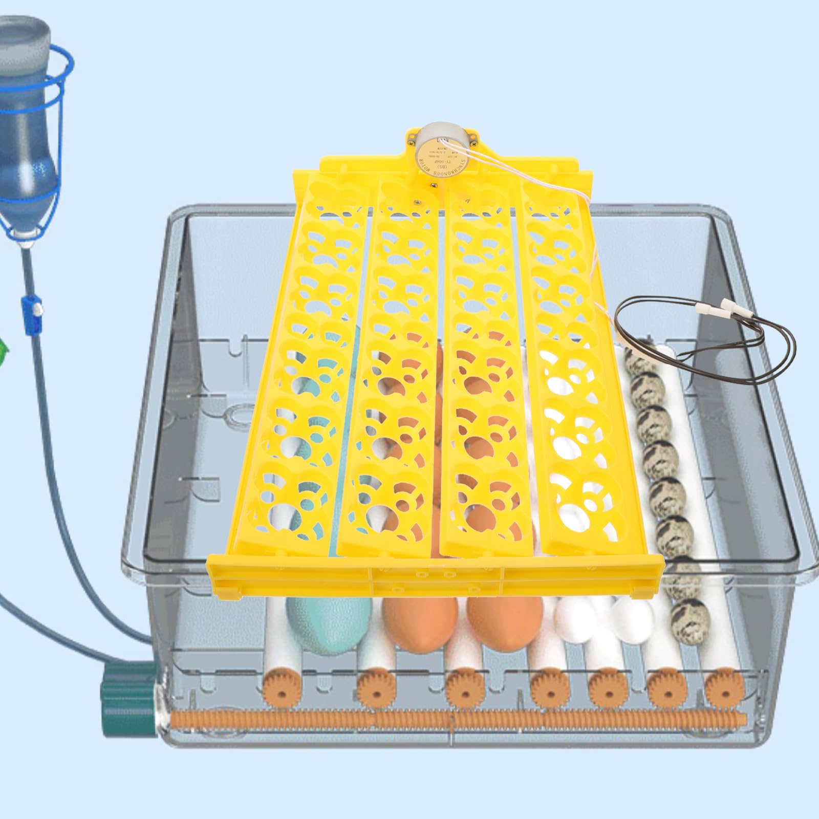 Happyyami Bandeja Giratoria Automática Para Huevos Incubadora Volteador Seguro Y Reutilizable Para Gallinas Patos Codornices Con Motor Integrado 15.74X9.84X0.78In