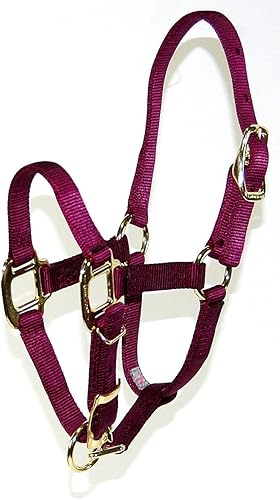 Miniatura 8 de Hamilton Caballo ajustable de calidad 34, poni, verde oscuro