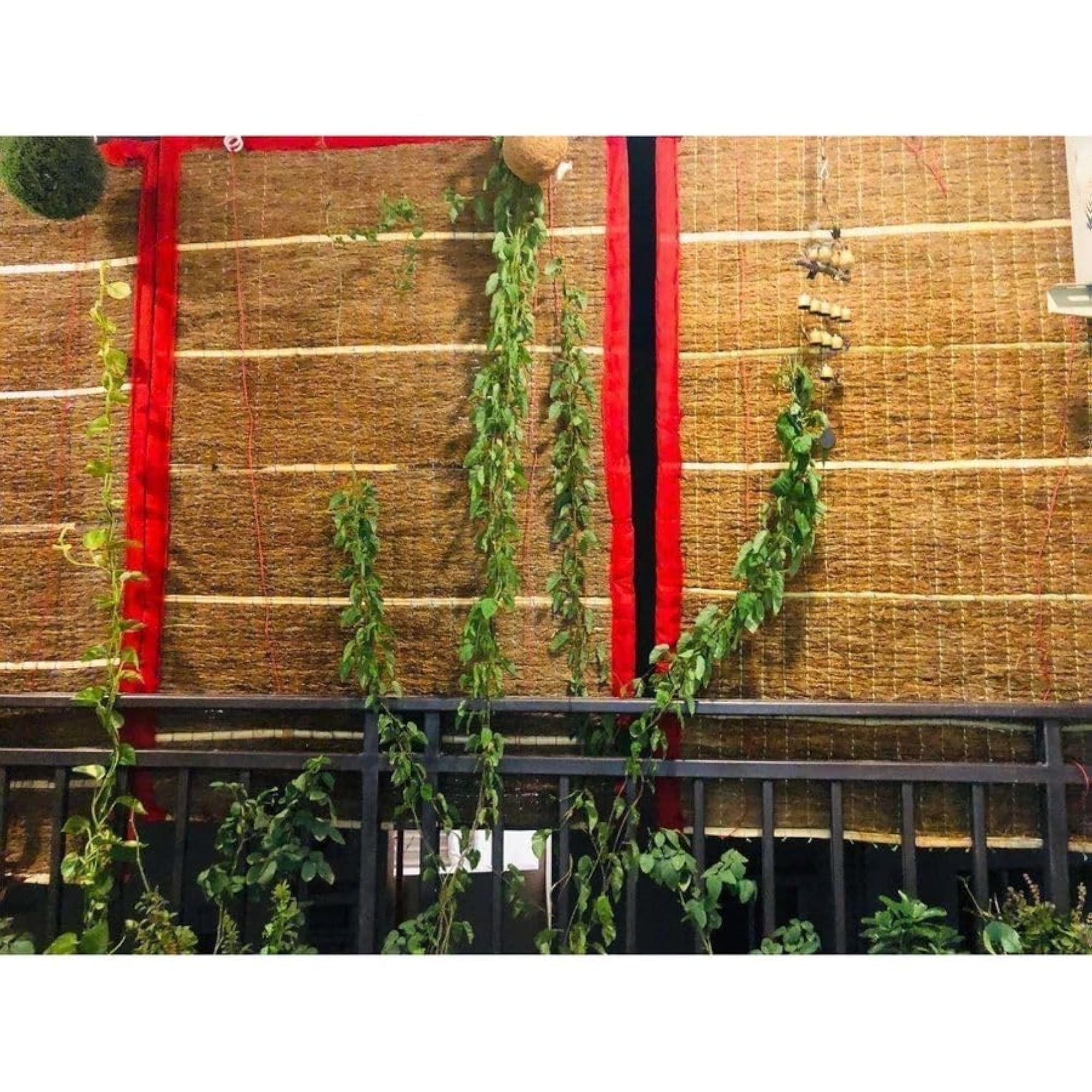 Pure Khus Root Curtains for Balcony & Windows