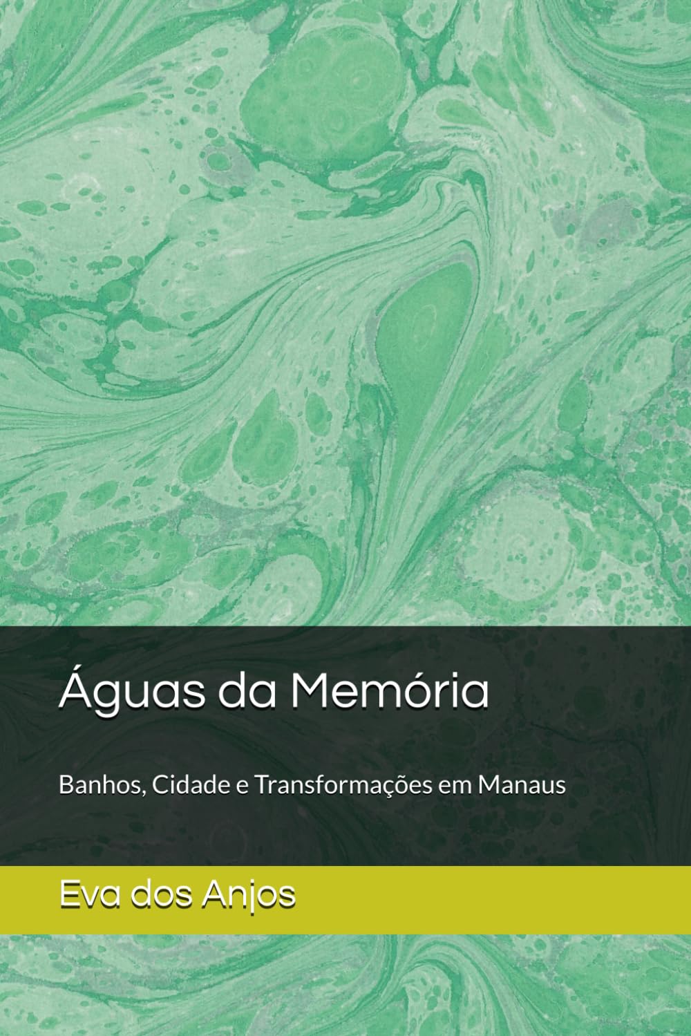 Águas da Memória: Águas da Memória: banhos, cidade e transformações em Manaus