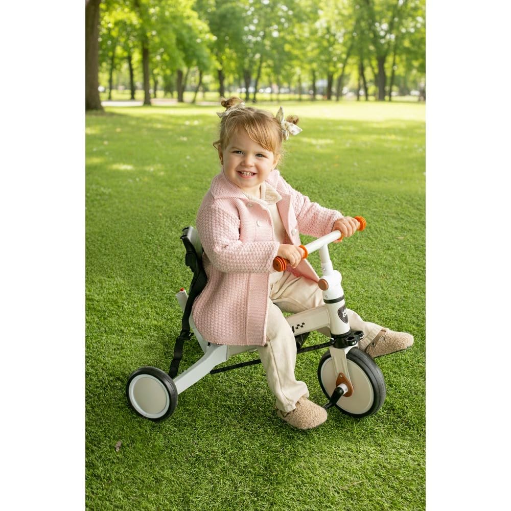 Interbaby Norby: 5 in 1 Dreirad und Laufrad mit Verdeck, 1 bis 5 Jahre