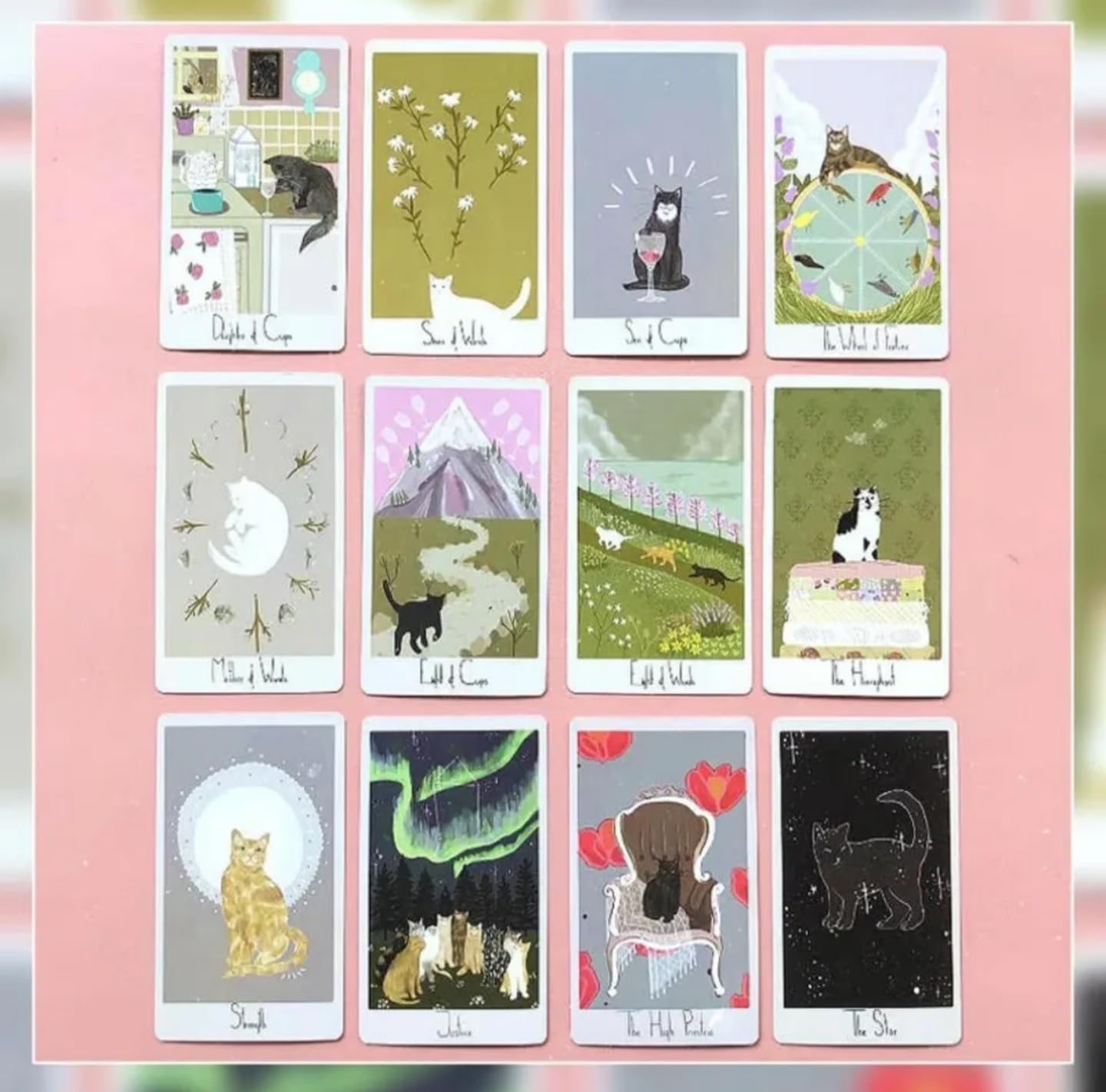 趣味・スポーツ・実用 considerate cat TAROT Amazon.co.jp: Considerate Cat Tarot マーガレットと猫の