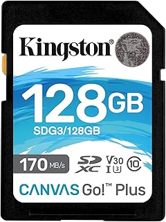 Sdg3/128GB - Cartão De Memória Padrão Sd De 128GB Canvas Go Plus (Leitura = 170Mb/S) Classe 10 U3 V30