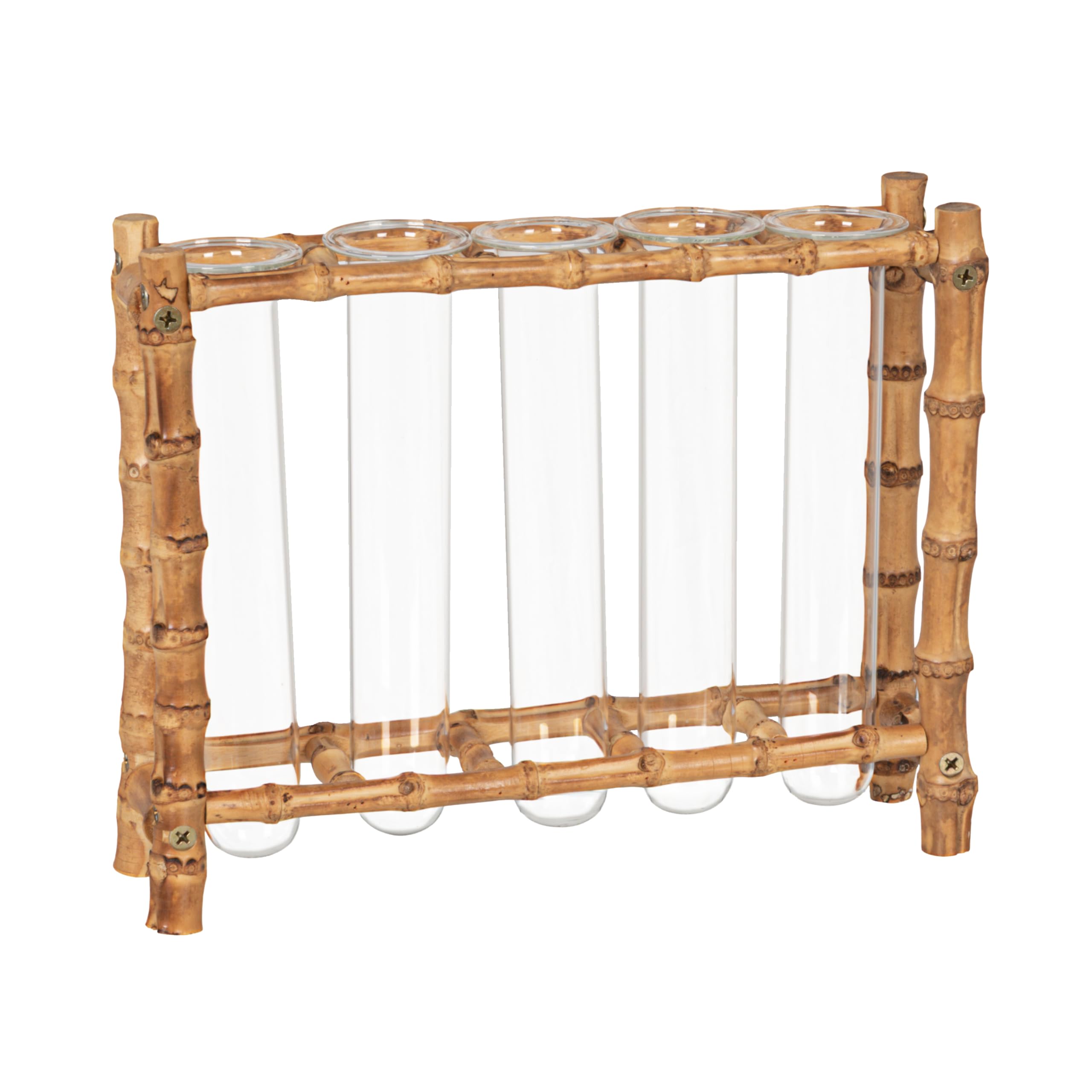 Creative Co-Op Bamboo Rack with 6 Glass Test Tubes Vases