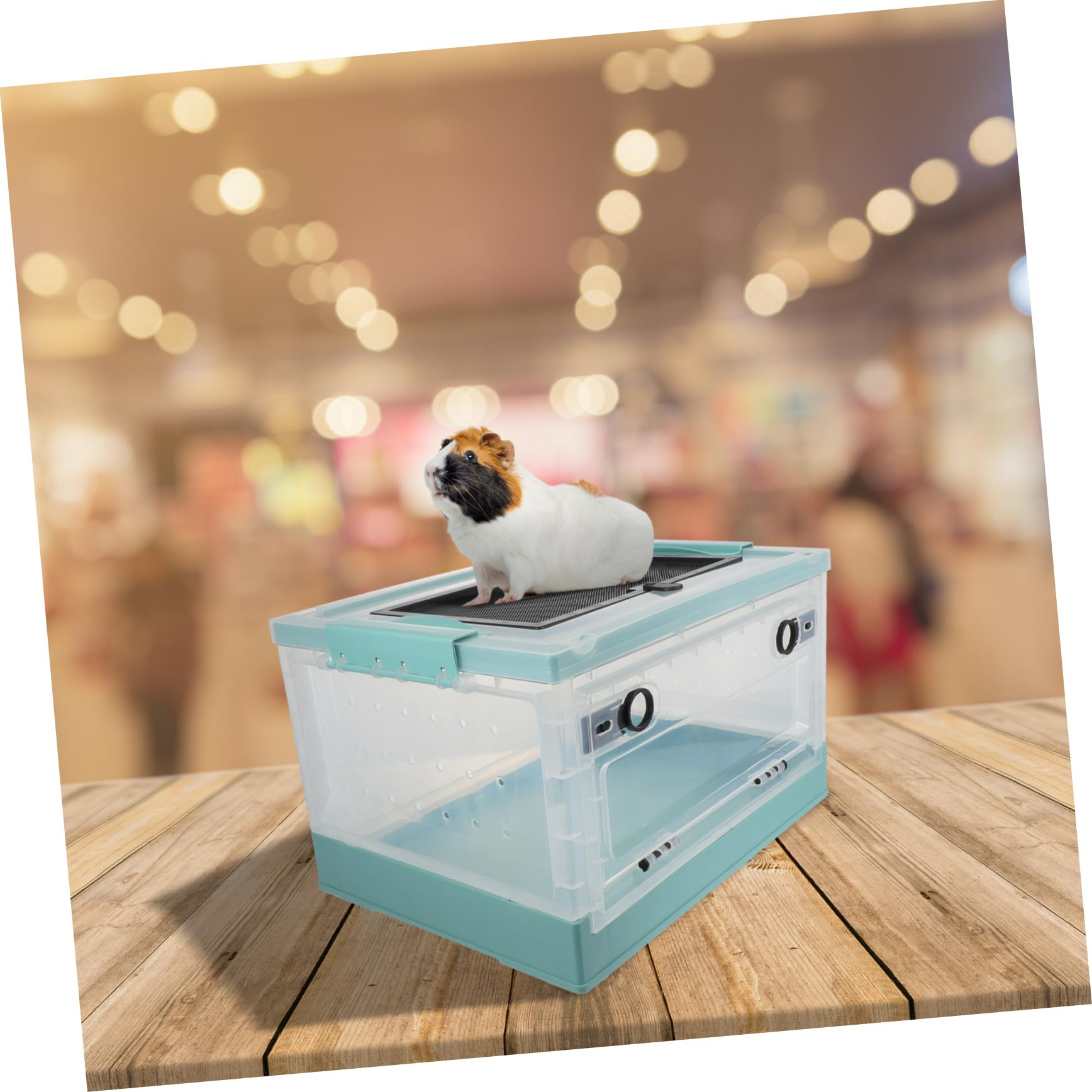 Jaula Portátil para Hámster de Plástico Azul, 1 Set, Compacta | Buena Circulación de Aire, Diseño Transpirable, Fácil de Operar, Contenedor para Cría de Mascotas, Accesorio para Mascotas