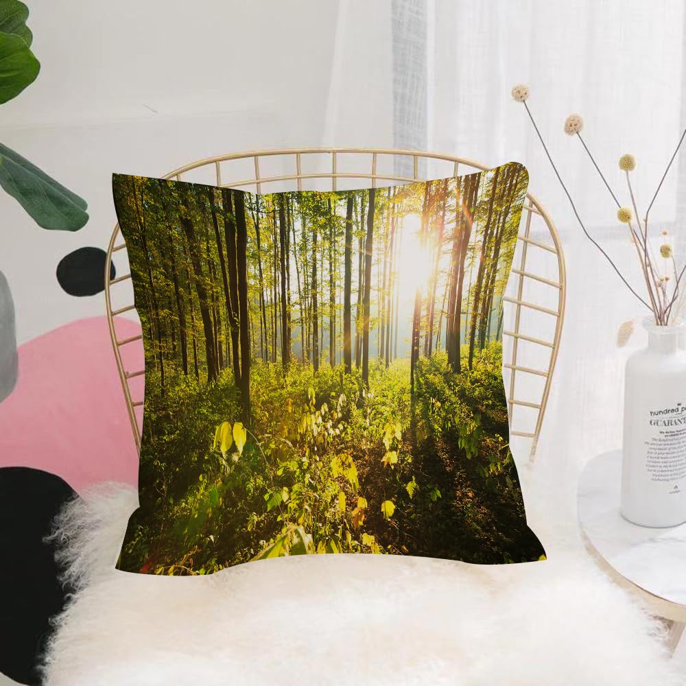 HYMSXW Cushion Cover,Throw Pillow Case Home Decorative for Living Room Bedroom Sofa Chair 20X20 Inch,Forest, trees sunbeams in the forest foliage green landscape,Pillowcase 50X50cm
