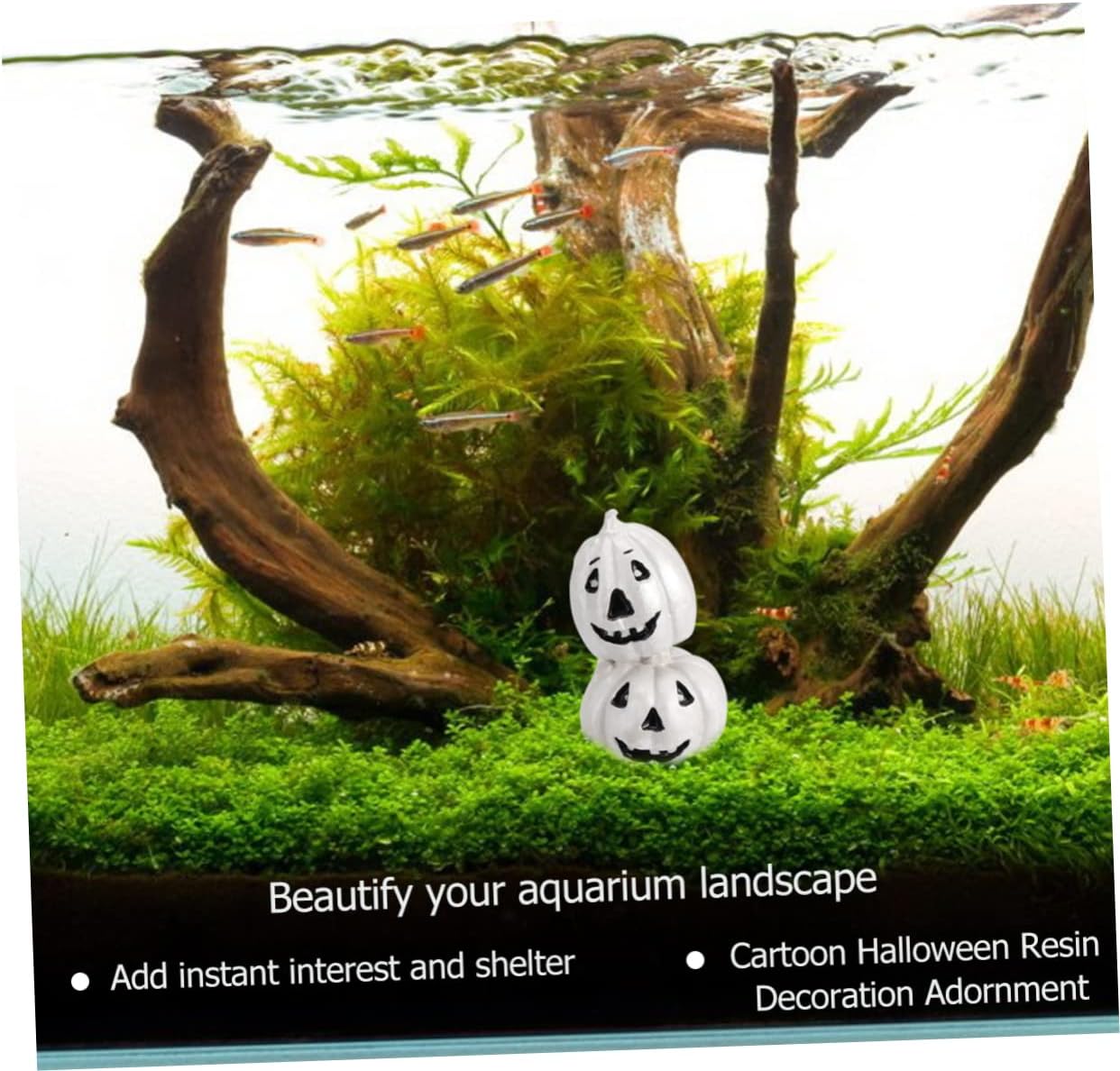 TOYANDONA 2Pcs Halloween Fish Tank Ornament Resin Pumpkin Aquarium Landscaping Decoration for Home DIY Craft Shrimp Fish Shelter Prop Party