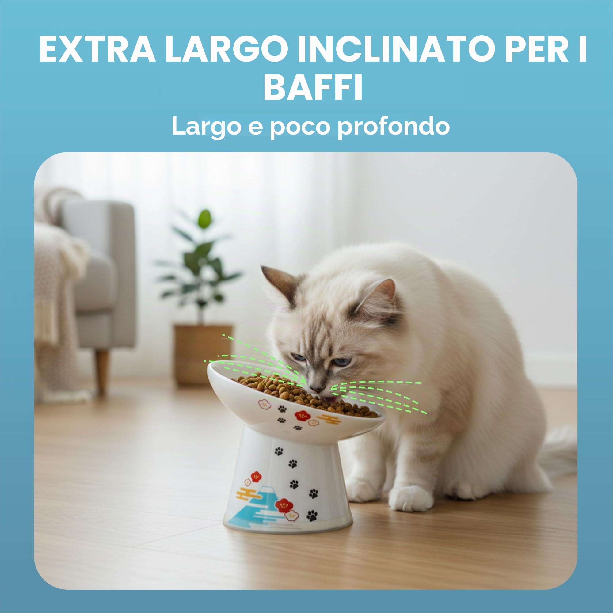Necoichi Ciotola per cibo per gatti rialzata extra larga, rialzata, previene l'affaticamento del collo e dei baffi, lavabile in lavastoviglie e adatta al microonde, venditore n. 1 in Giappone