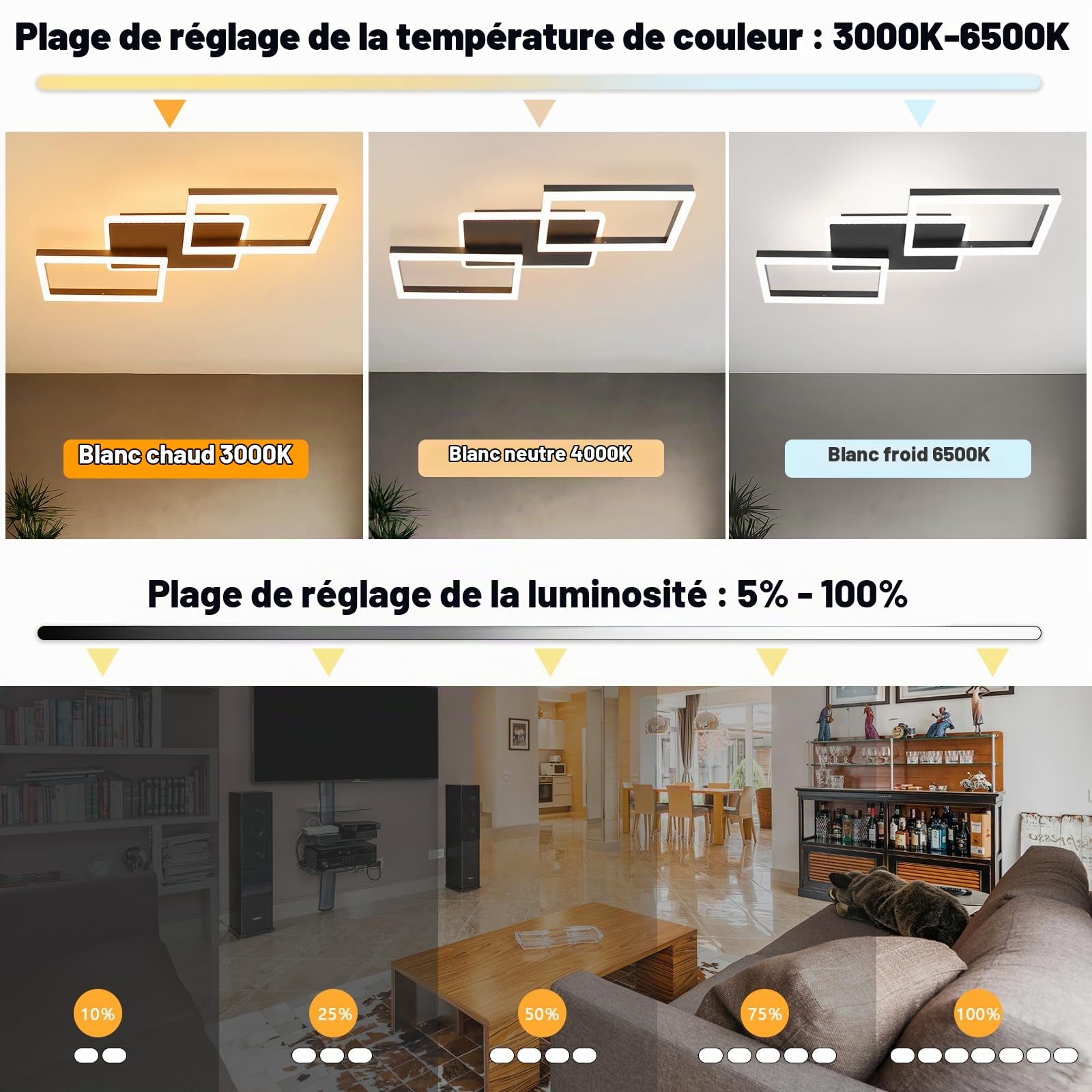 ZMH Plafonnier LED Plafonnier de Salon Lampe de Chambre à Coucher à